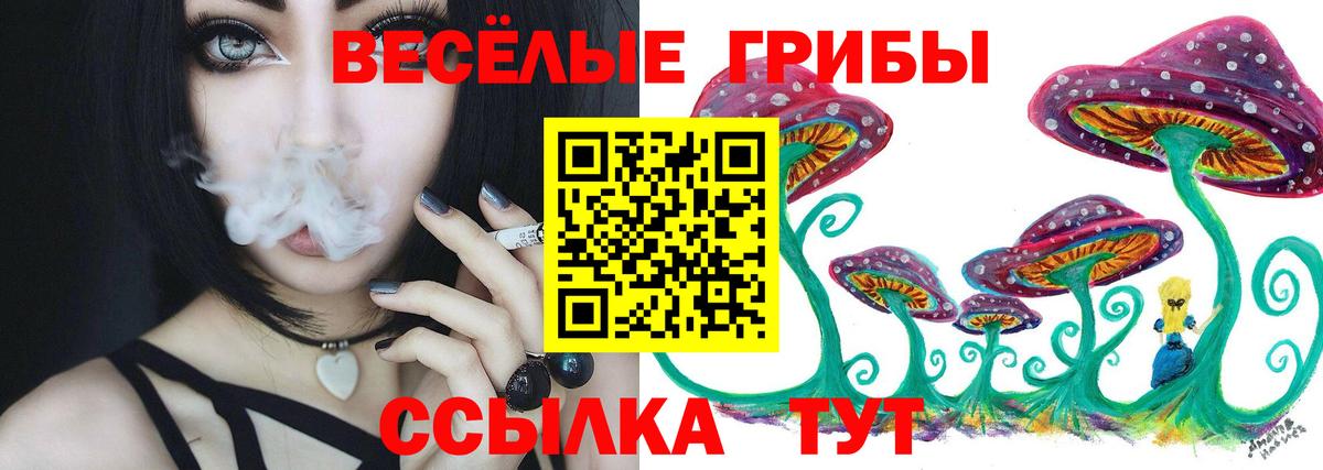 Галлюциногенные грибы MAGIC MUSHROOMS Пенза